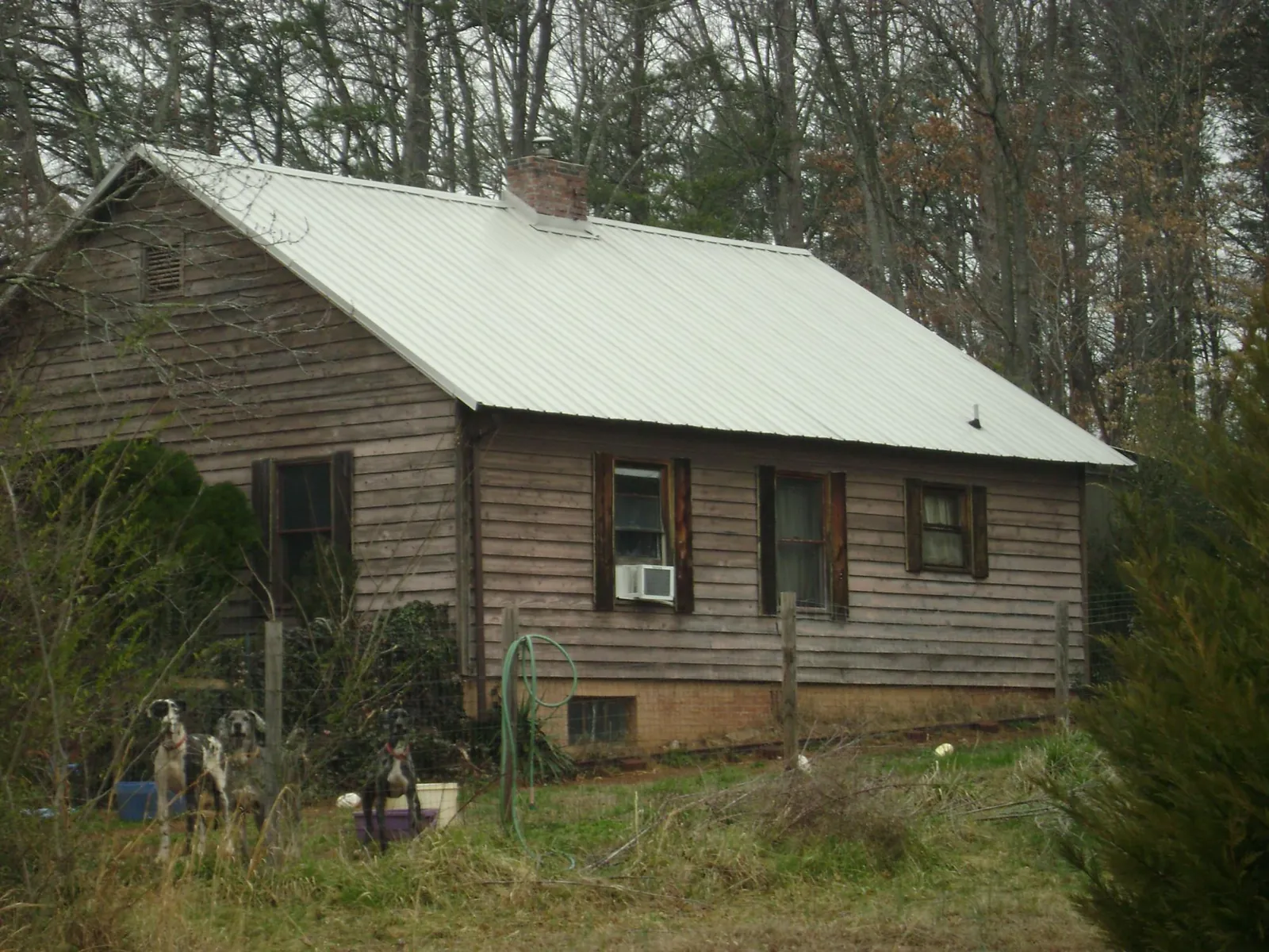 White metal roof on an old wood sided farmhouse, from a Asphalt Shingle Roof Repair job in White Oak